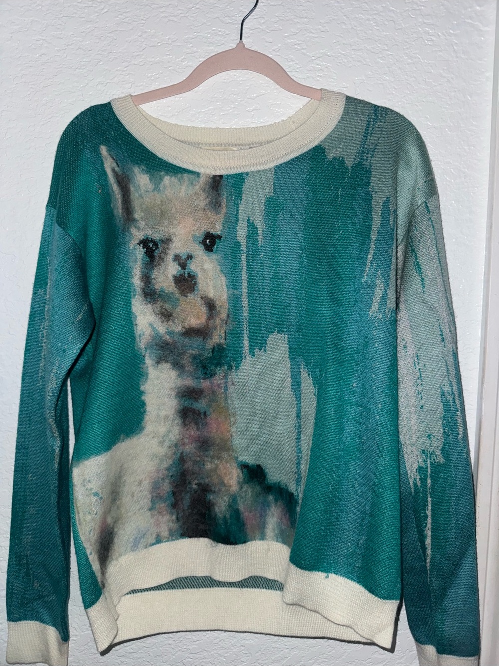 Anthropologie Teal Alpaca-Graphic Crewneck with Cream Trim